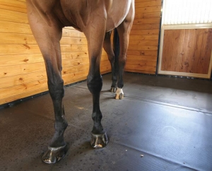 black horse stall mats providing comfort for horse